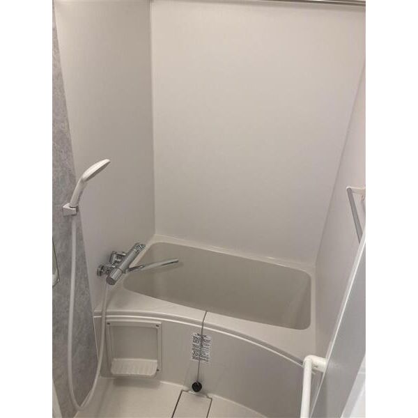 S-RESIDENCE亀島駅前ascentの風呂写真