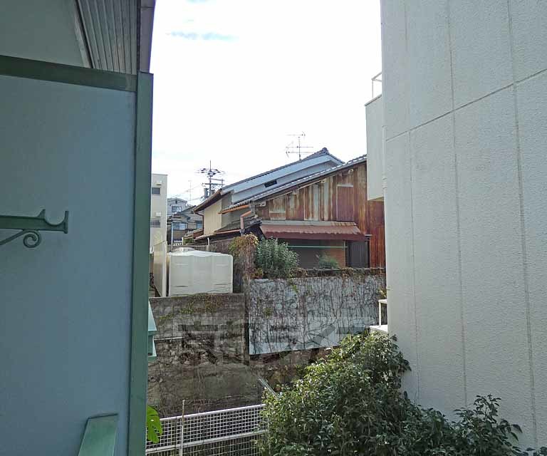 TOWNY JOYのその他写真