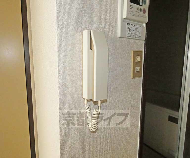 TOWNY JOYのその他写真