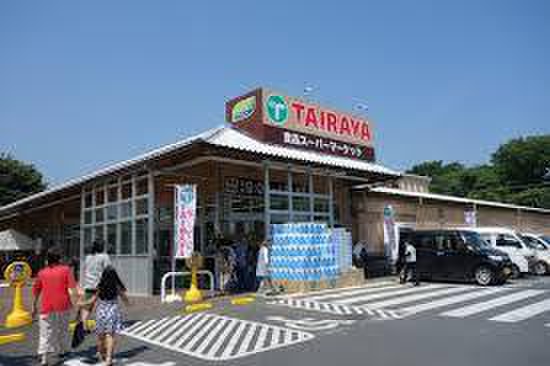 スーパー　TAIRAYA川鶴店（スーパー）まで1400m