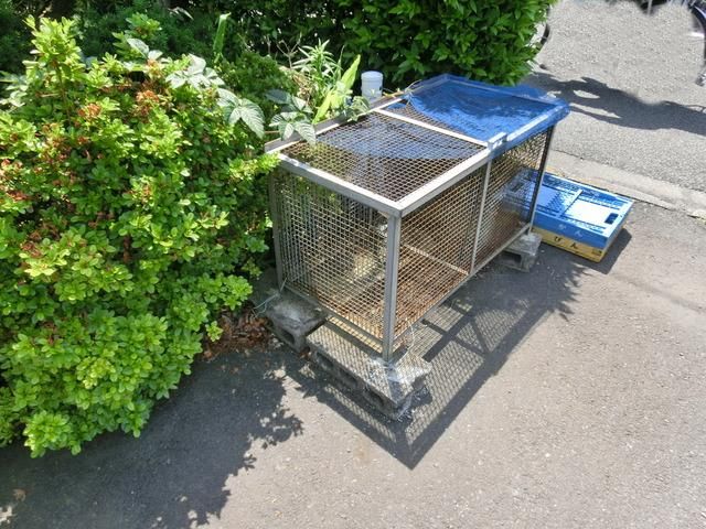 その他共有部分　★お部屋探しはタウンハウジング稲田堤店まで★