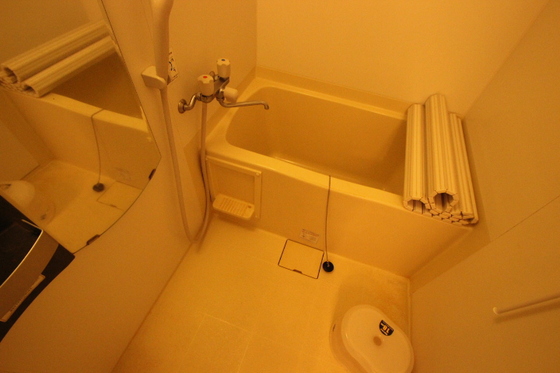 バス・シャワールーム　※別部屋の写真です