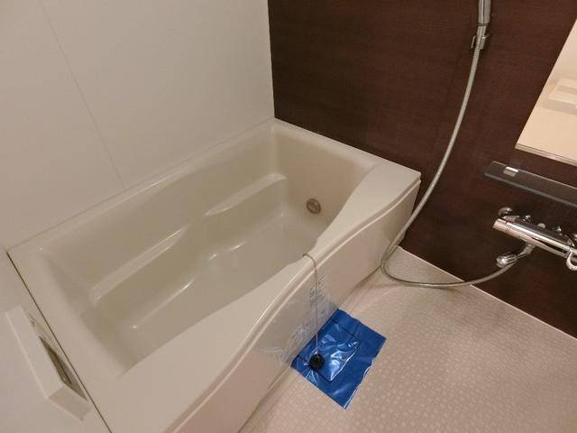 バス・シャワールーム　温水洗浄便座機能です