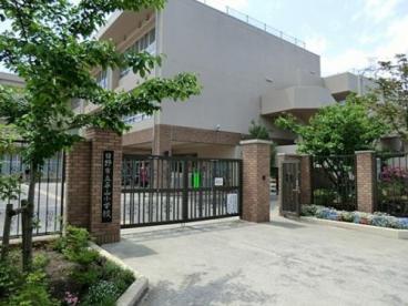小学校　日野市立平山小学校（小学校）まで341m