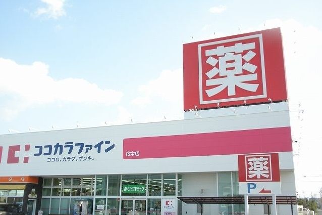 【豊川市三蔵子町のアパートのドラックストア】