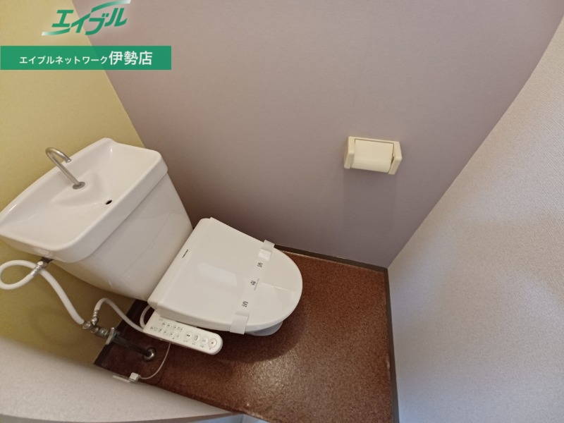 トイレ　同物件別部屋の写真