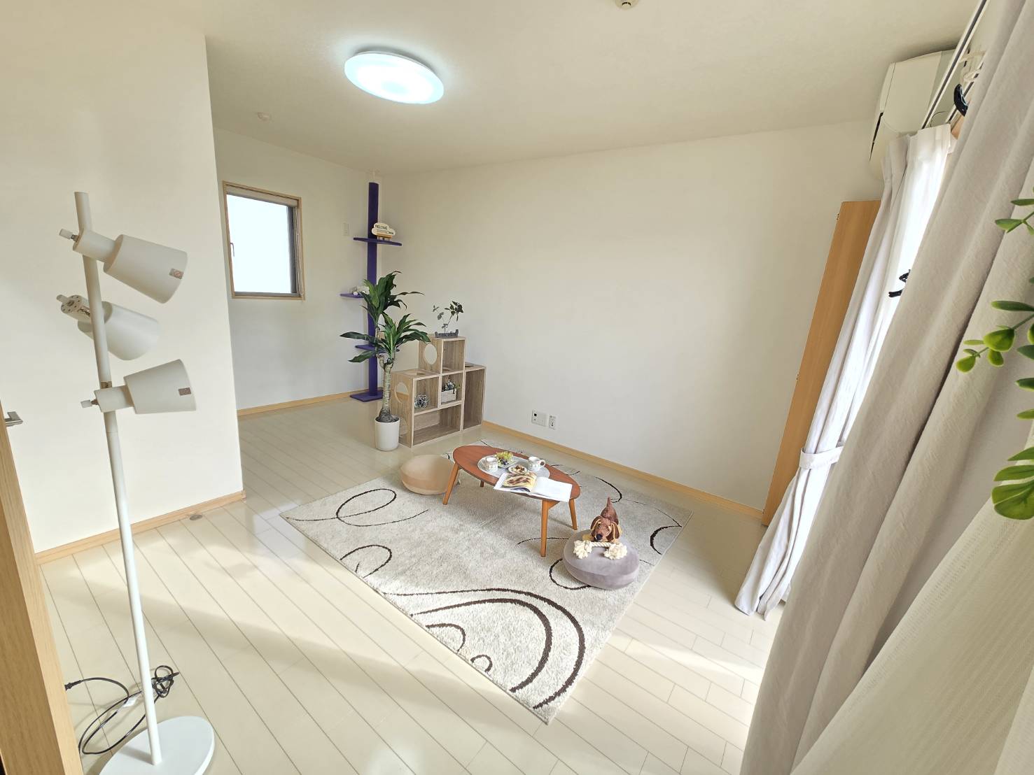 居室・リビング　ひろびろワンルームで使い勝手良好