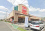 スーパー　ベルク東越谷店（スーパー）まで1062m
