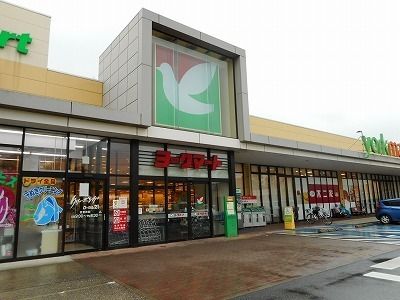 スーパー　ヨークマート青葉台店（スーパー）まで500m