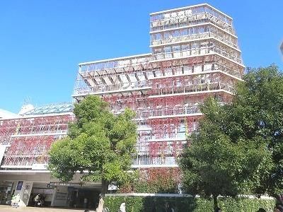 病院　東急病院（病院）まで1000m