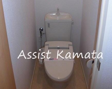 トイレ　写真は同タイプの別号室です