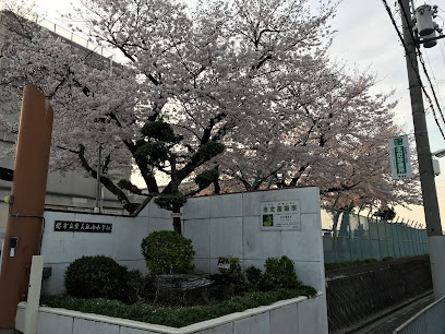 小学校　堺市立登美丘南小学校（小学校）まで821m