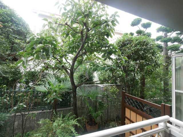 眺望　別部屋参考写真