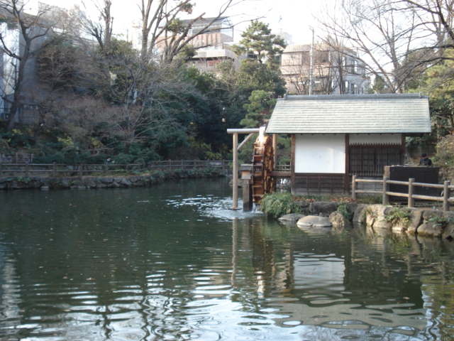 【エクセルシオール渋谷の公園】