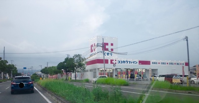 【和歌山市鳴神のアパートのドラックストア】