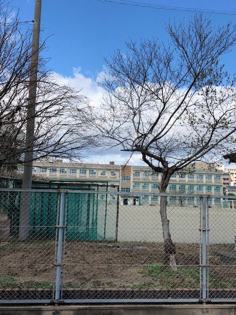 小学校　名古屋市立内山小学校（小学校）まで644m