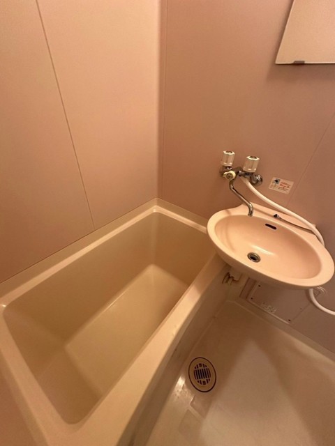 バス・シャワールーム　※２０３号室の写真になります。