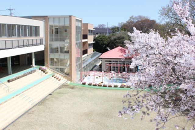 幼稚園・保育園　清和幼稚園（幼稚園・保育園）まで405m