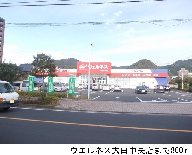 ドラックストア　ウエルネス大田中央店（ドラッグストア）まで800m