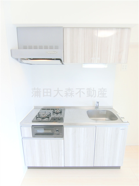 キッチン　2口ガスグリル付システムキッチン