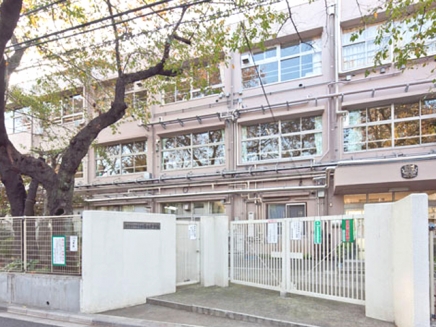 中学校　世田谷区立桜丘中学校（中学校）まで486m