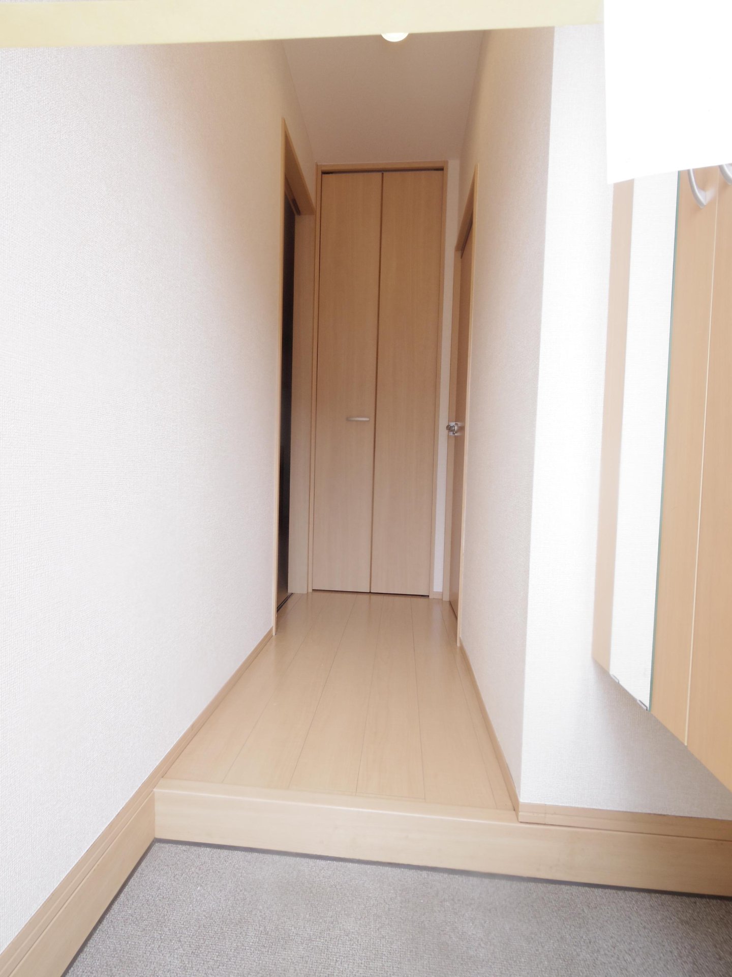 玄関　※他号室写真です