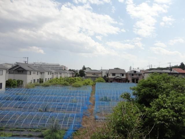 眺望　★お部屋からの景色★