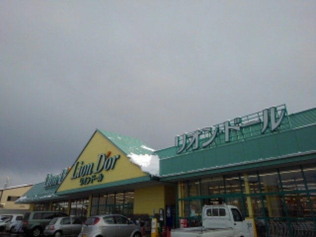 その他　リオンドール大崎店（その他）まで1400m
