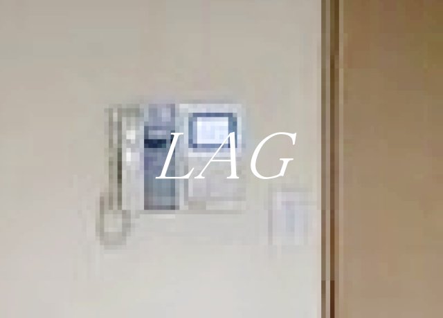 セキュリティ　モニター付きインターホンです。