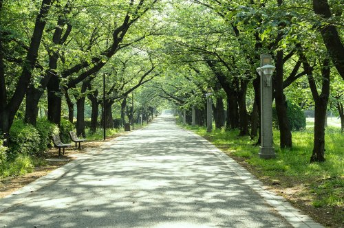 公園　辰巳の森緑道公園（公園）まで1989m