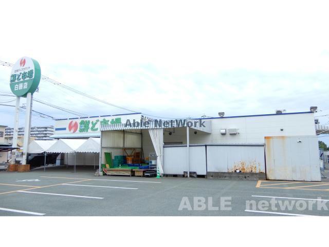 スーパー　鮮ど市場白藤店（スーパー）まで1177m