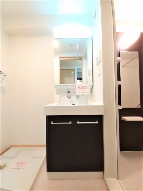 【ルイシャトレ鏡の洗面設備】