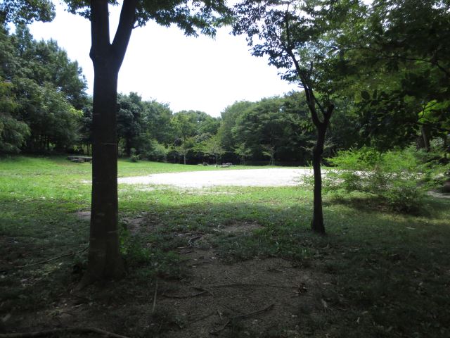 【ＵＭＳビルの公園】