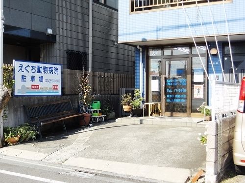 病院　えぐち動物病院（病院）まで800m