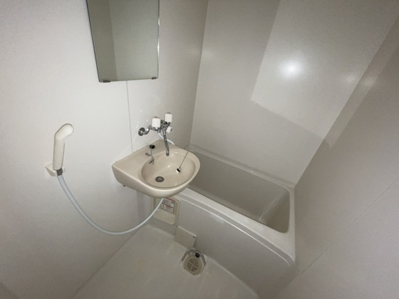 バス・シャワールーム　※別部屋の写真です