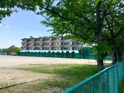 中学校　周南市立秋月中学校（中学校）まで737m