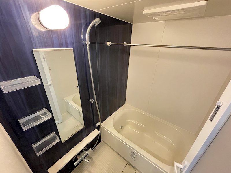 バス・シャワールーム　鏡や棚を備え付けた仕様の高い浴室