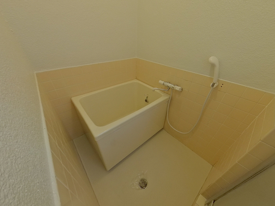 バス・シャワールーム　※別部屋の写真使用