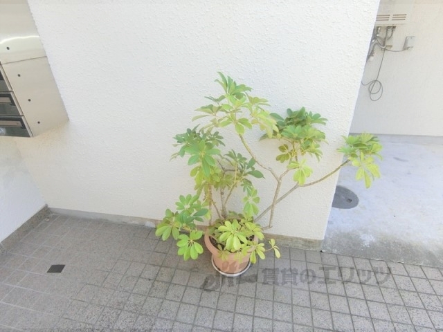 その他共有部分　植栽