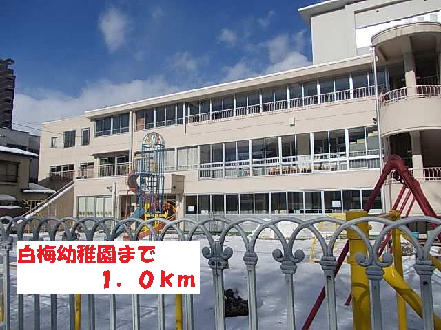 幼稚園・保育園　白梅幼稚園（幼稚園・保育園）まで1000m