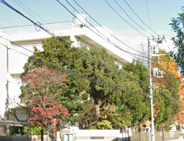 小学校　横浜市立北綱島小学校（小学校）まで438m