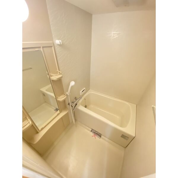 バス・シャワールーム　※写真は同じマンションの違う部屋のものになります。