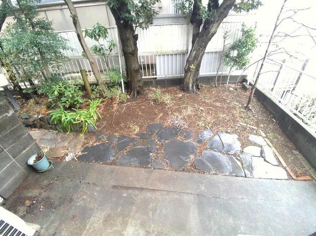 庭
