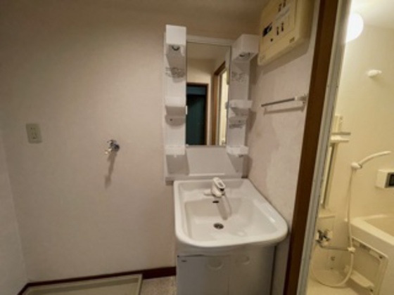 洗面設備　※別部屋の写真です