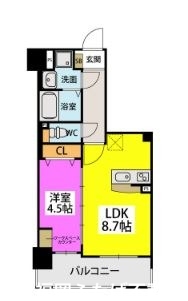 ラフィーネ箱崎駅前の間取り写真