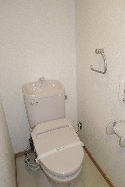 グランヴァン水天宮IIのトイレ写真