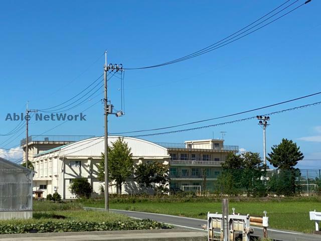 小学校　小松島市立新開小学校（小学校）まで2611m