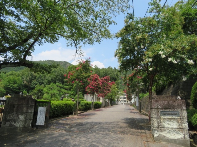 中学校　各務原市立鵜沼中学校（中学校）まで2298m