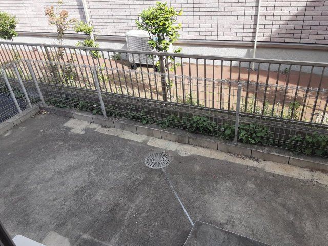 庭
