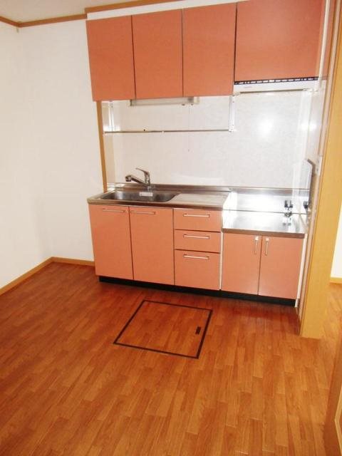 キッチン　※別号室の写真です。